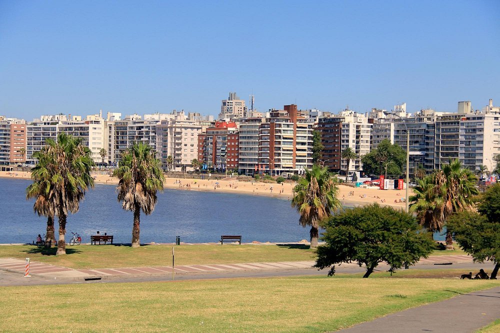 playa de pocitos